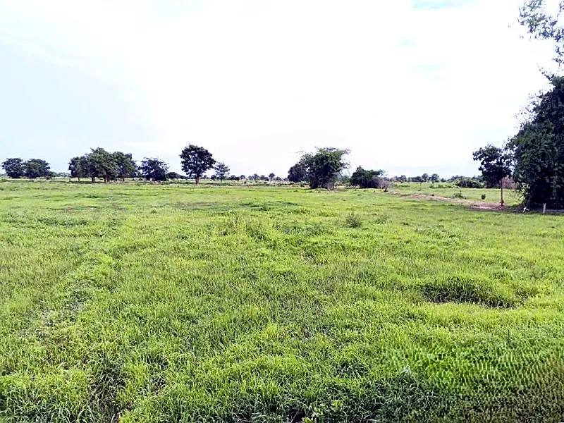 Bank Auction: Development Land, 23,898 m² in Serei Mean Chey, Battambang, photo 3