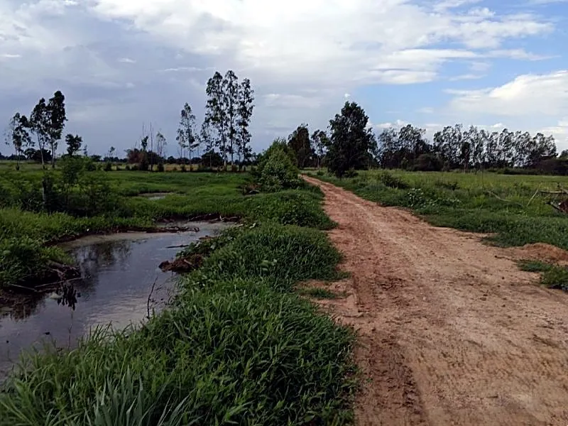 Bank Auction: Development Land, 23,898 m² in Serei Mean Chey, Battambang, photo 5
