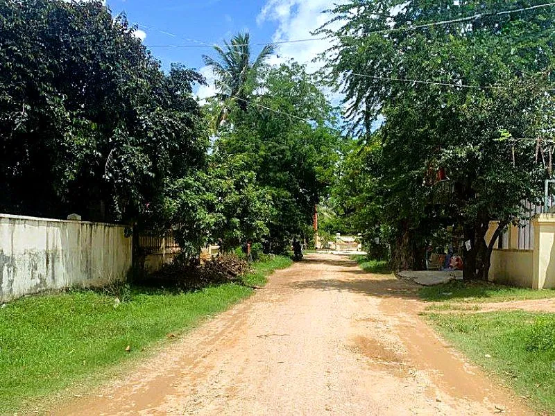 Bank Auction: Land & House, 700 m² in Mkak, Kandal, photo 3