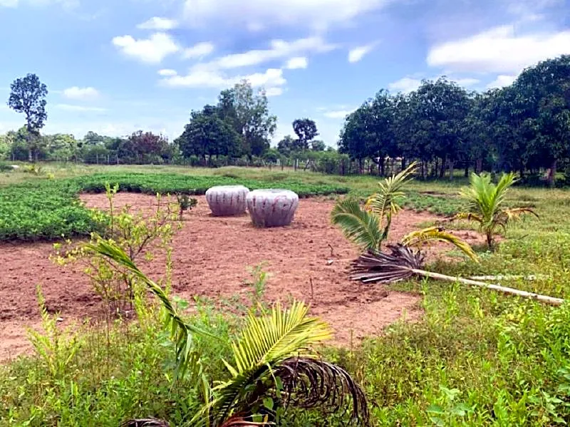 Bank Auction: Development Land, 3,383 m² in Mkak, Kandal, photo 5