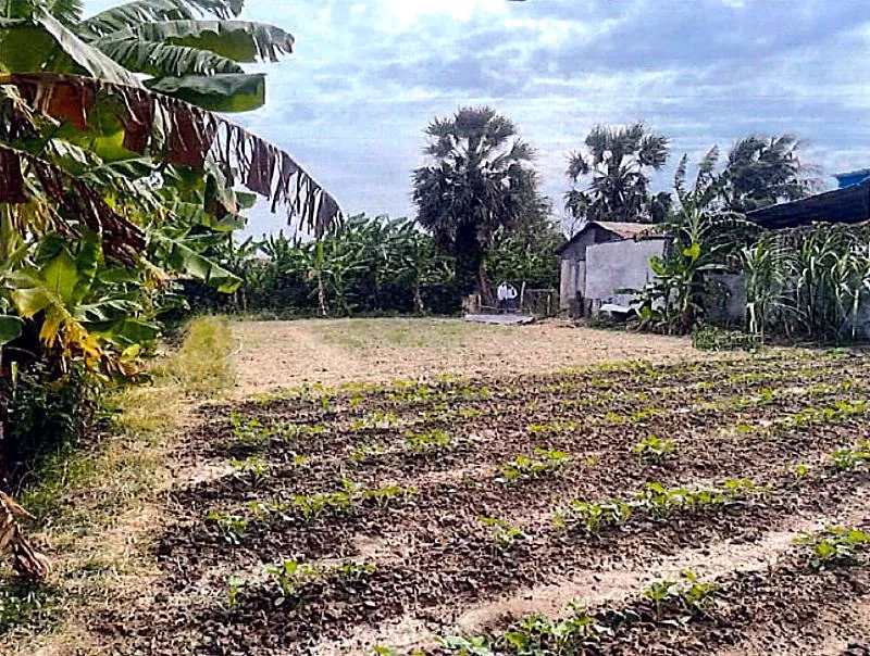 Bank Auction: Residential Plot, 964 m² in Preaek Slaeng, Kandal, photo 4