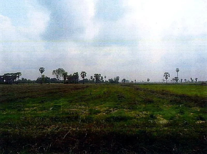 Bank Auction: Development Land, 1,063 m² in Prey Puoch, Kandal, photo 2