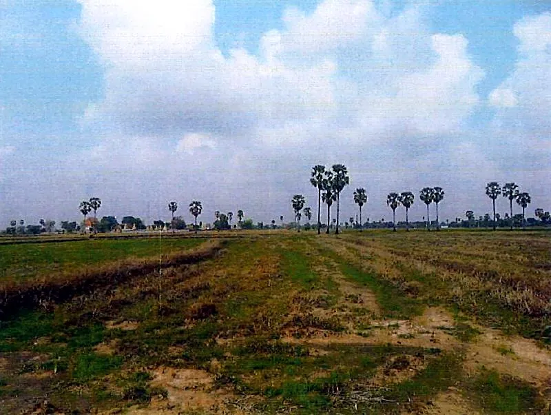 Bank Auction: Development Land, 1,063 m² in Prey Puoch, Kandal, photo 3