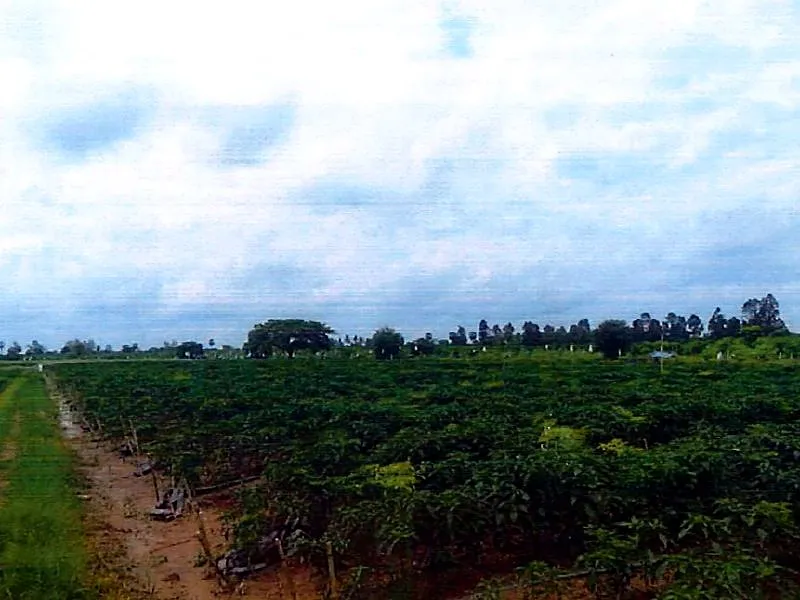 Bank Auction: Development Land, 3,200 m² in Trery Sla, Kandal, photo 3