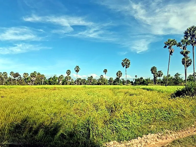 Bank Auction: Development Land, 1,855 m² in Svay Chrum, Kampong Chhnang, photo 5