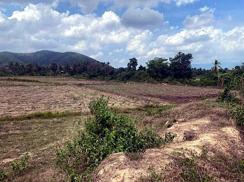 Bank Auction: Residential Plot in Stueng Kaev, Kampot, photo 3