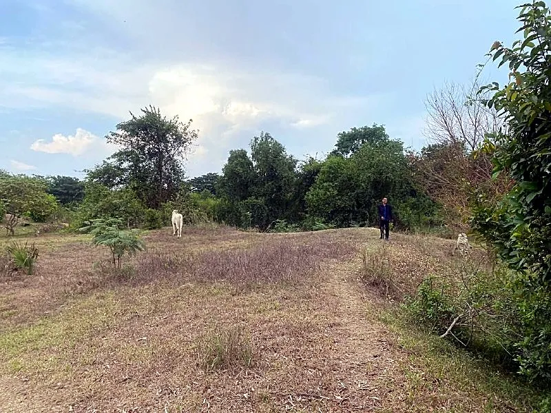 Bank Auction: Residential Plot in Stueng Kaev, Kampot, photo 4