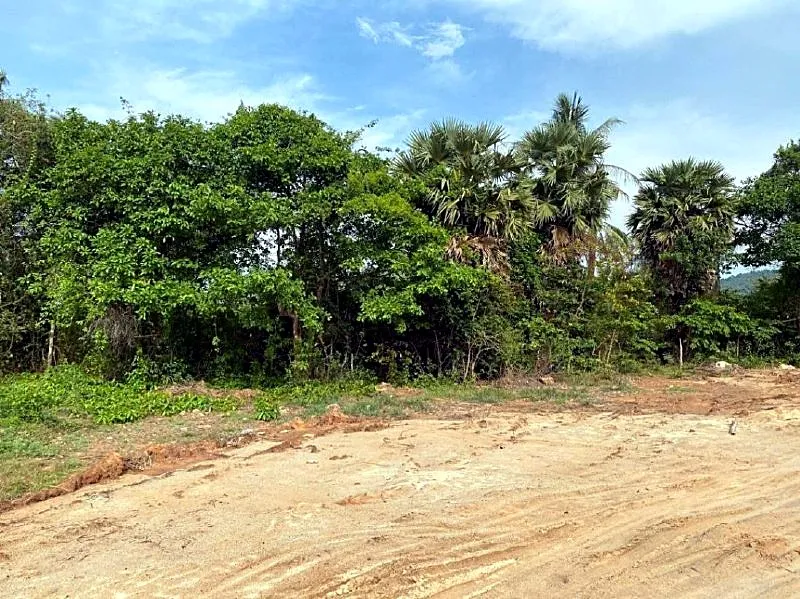Bank Auction: Development Land, 8,000 m² in Stueng Kaev, Kampot, photo 5