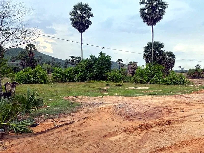Bank Auction: Development Land, 3,182 m² in Stueng Kaev, Kampot, photo 4