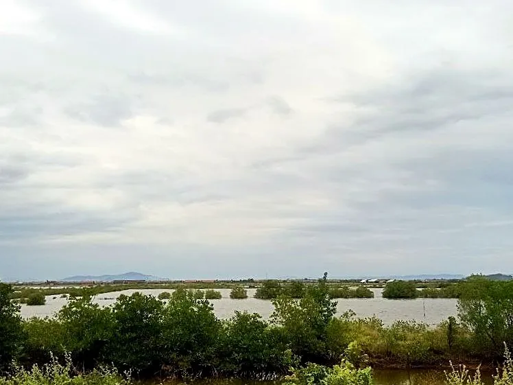 Bank Auction: 23.6-Hectare Land, Tuek Chhou, Kampot, photo 3