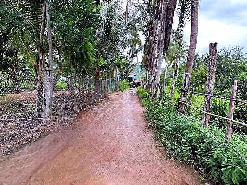 Bank Auction: Development Land, 3,388 m² in Takaen, Kampot, photo 4