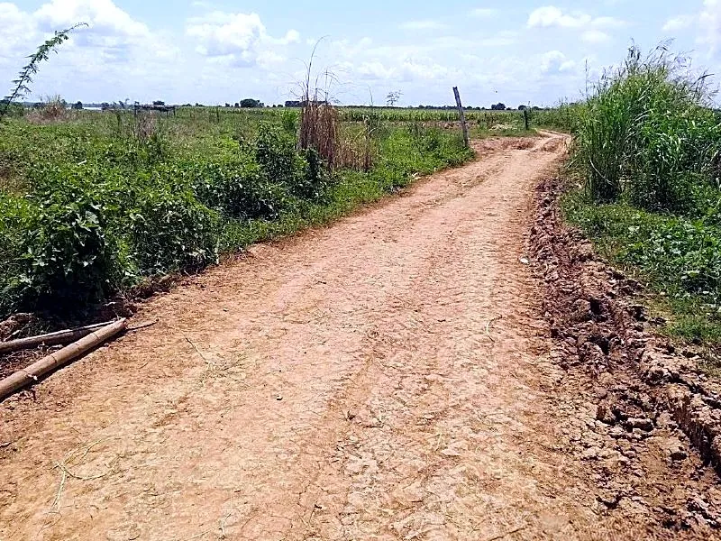 Bank Auction: Development Land, 2,476 m² in Roka Kandal, Kratie province, photo 4
