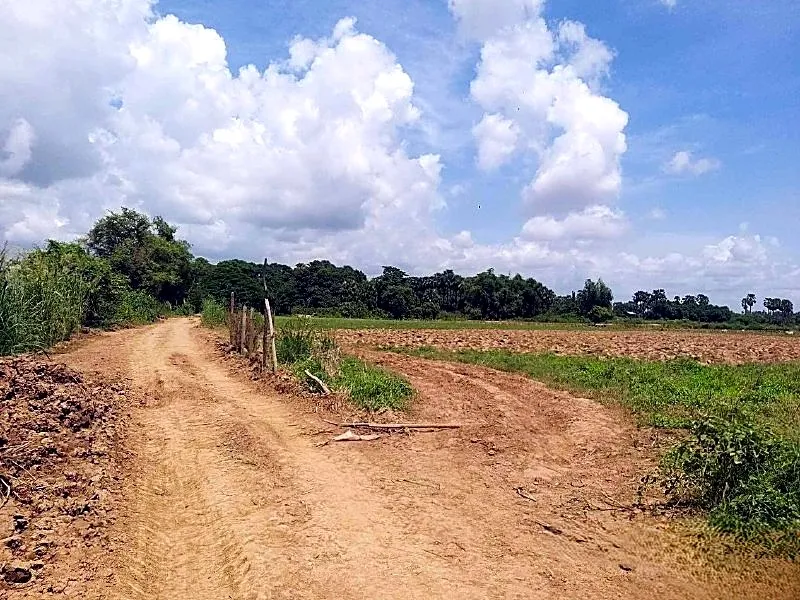 Bank Auction: Development Land, 2,476 m² in Roka Kandal, Kratie province, photo 5
