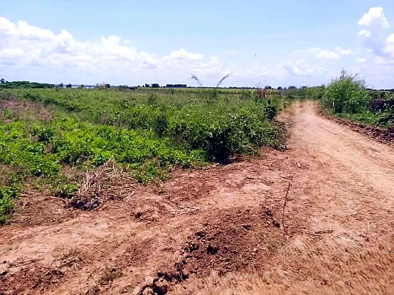 Bank Auction: Development Land, 2,000 m² in Roka Kandal, Kratie province, photo 5
