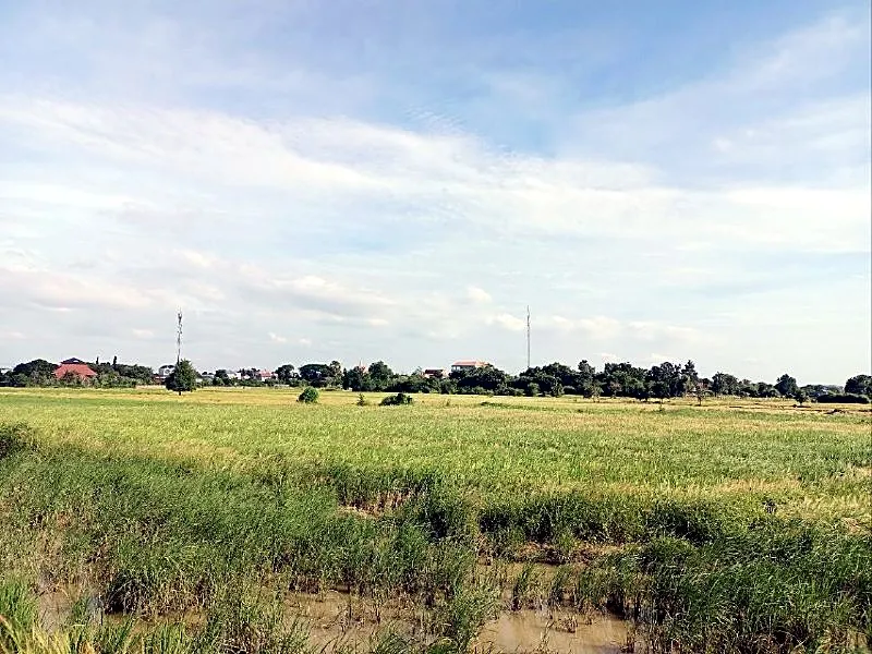 Bank Auction: Development Land, 3,895 m² in Roleang Kreul, Kampong Speu, photo 5