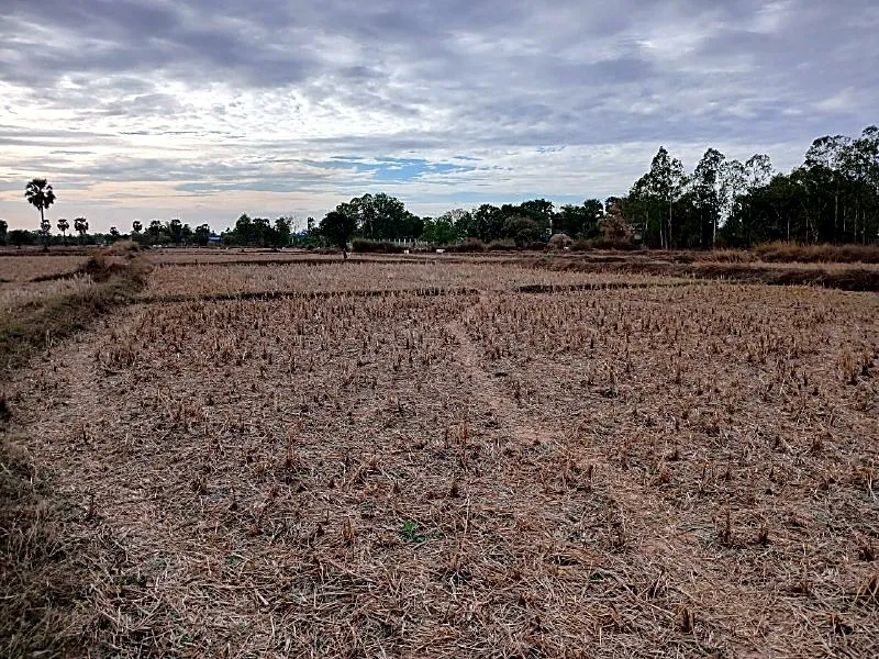 Bank Auction: Development Land, 3,778 m² in Damnak Reang, Kampong Speu, photo 3
