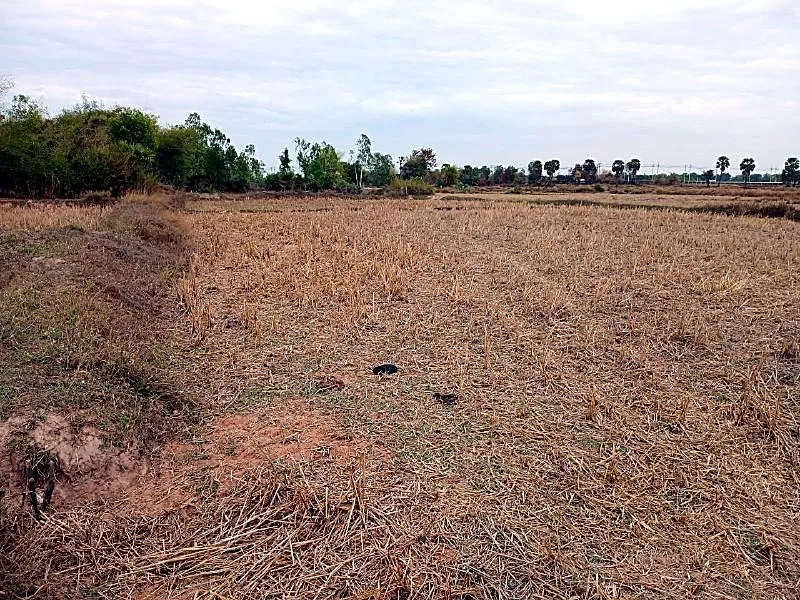 Bank Auction: Development Land, 3,778 m² in Damnak Reang, Kampong Speu, photo 4