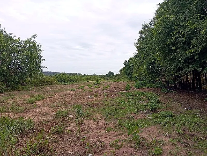 Bank Auction: Development Land, 6,000 m² in Boenglvea, Kampong Thom, photo 3