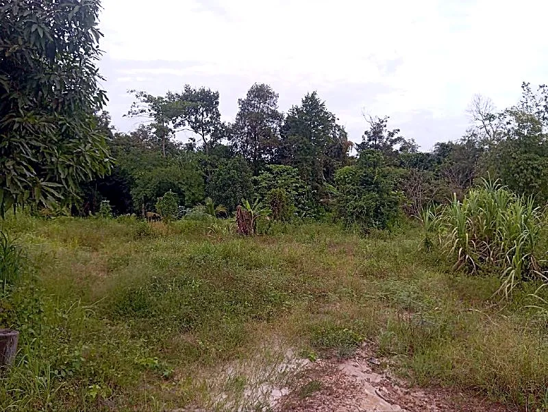 Bank Auction: Land & House, 1,200 m² in Boeng Lvea, Kampong Thom, photo 3