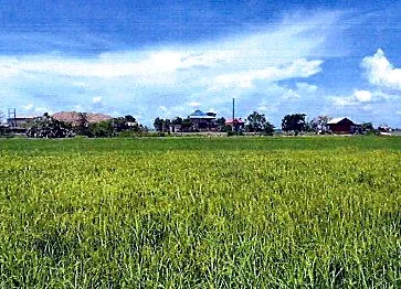 Bank Auction: Development Land, 1,005 m² in Tboung Kroper, Kampong Thom, photo 3