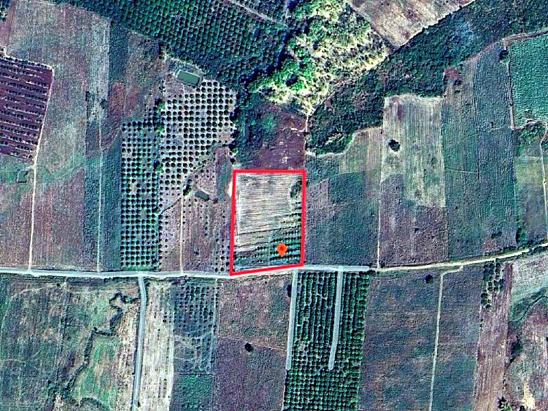Bank Auction: Development Land, 20,000 m² in Ou Andoung, Pailin, photo 2
