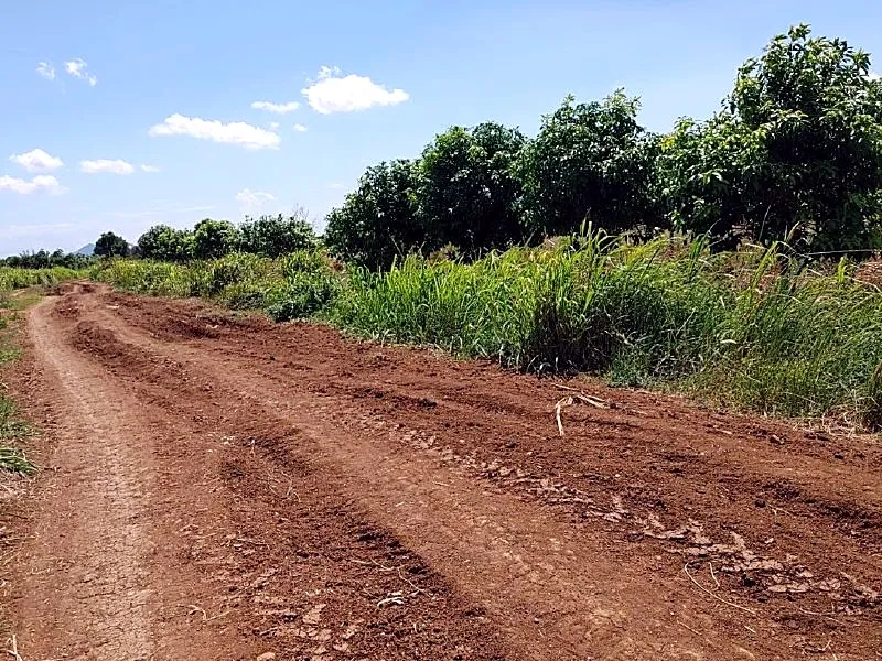 Bank Auction: Development Land, 20,000 m² in Ou Andoung, Pailin, photo 4