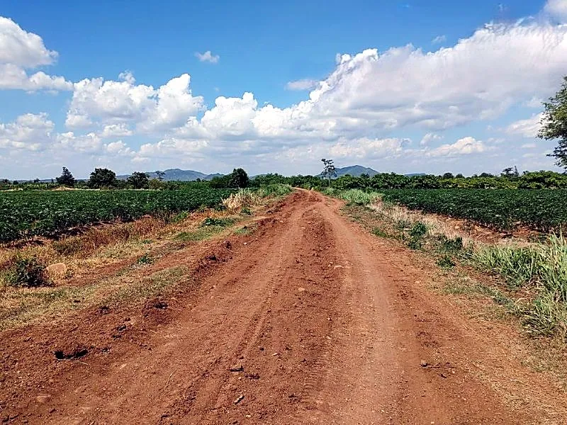 Bank Auction: Development Land, 20,000 m² in Ou Andoung, Pailin, photo 5