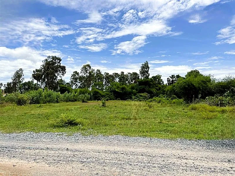 Bank Auction: Development Land, 2,383 m² in Boeng Thum, Phnom Penh, photo 3