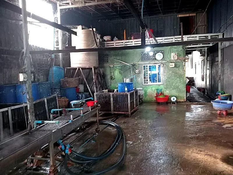 Bank Auction: Land & House, 240 m² in Samraong, Phnom Penh, photo 4