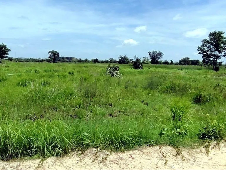 Bank Auction: 3,931 m² Development Land, Dangkao, Phnom Penh, photo 5