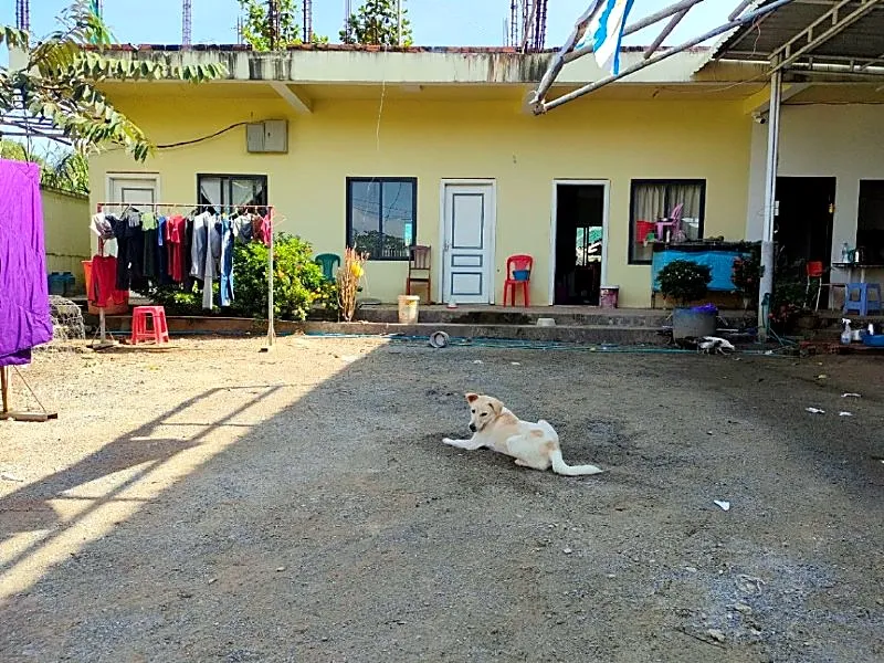 Bank Auction: Land & House, 1,200 m² in Phum 5, Preah Sihanouk, photo 2