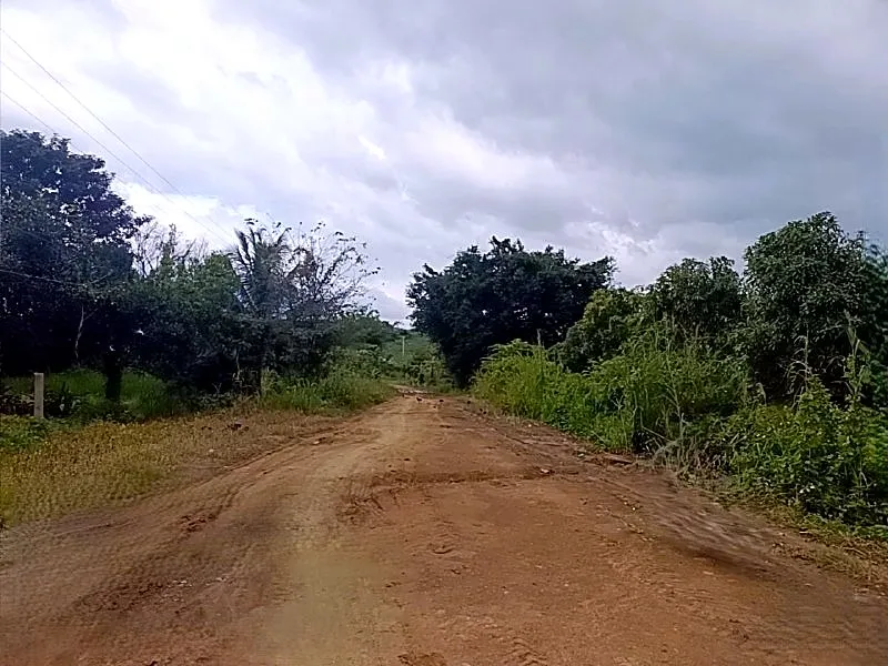Bank Auction: Development Land, 58,183 m² in Anlong Reab, Pursat, photo 4