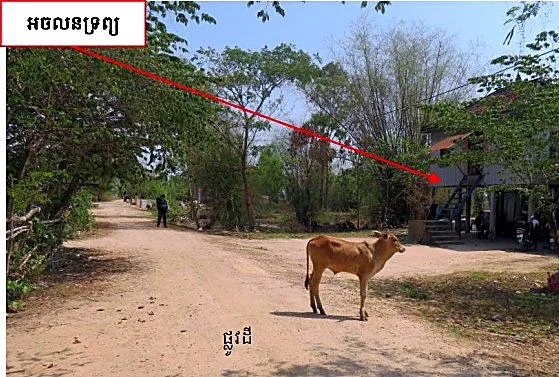 Bank Auction: Land & House, 968 m² in Sangkat Angkor Tret, Prey Veng, photo 4