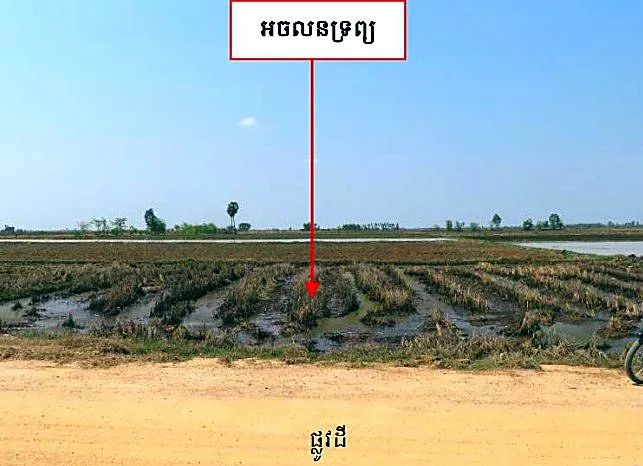 Bank Auction: Residential Plot, 421 m² in Sangkat Angkor Tret, Prey Veng, photo 3