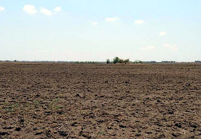 Bank Auction: Development Land, 5,131 m² in Sangkat Angkor Tret, Prey Veng, photo 3