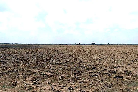 Bank Auction: Development Land, 8,035 m² in Sangkat Angkor Tret, Prey Veng, photo 2