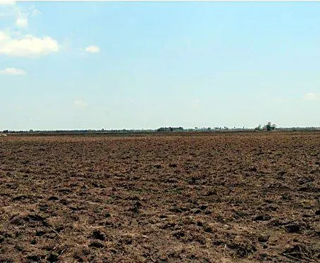 Bank Auction: Development Land, 8,035 m² in Sangkat Angkor Tret, Prey Veng, photo 3