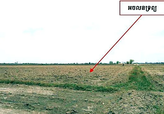 Bank Auction: Development Land, 8,035 m² in Sangkat Angkor Tret, Prey Veng, photo 5