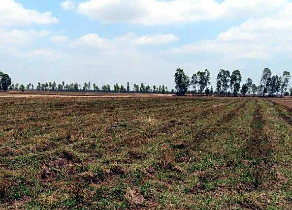 Bank Auction: Development Land, 4,958 m² in Sangkat Angkor Tret, Prey Veng, photo 3