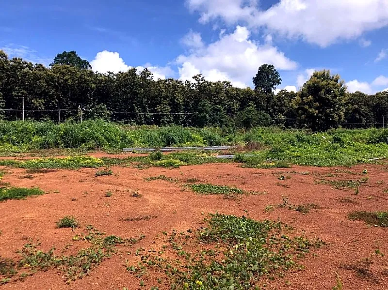 Bank Auction: Development Land, 152,100 m² in Ta Ang, Ratanak Kiri, photo 5