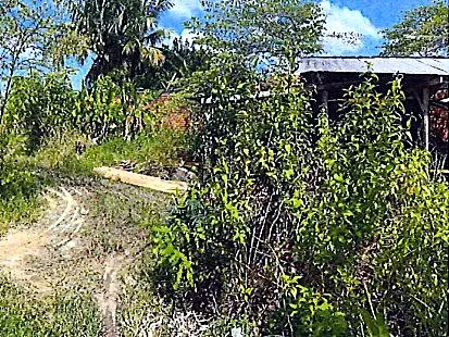 Bank Auction: Residential Plot, 952 m² in Thmei Village, Siemreap, photo 3