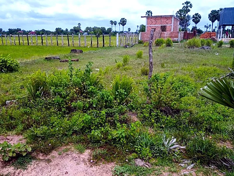 Bank Auction: Residential Plot, 160 m² in Ampil Commune, Siem Reap, photo 4