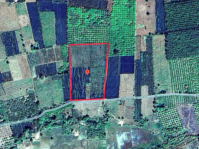 Bank Auction: Development Land, 21,336 m² in Dar, Tboung Khmum, photo 2