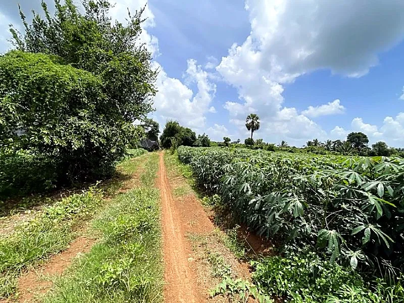 Bank Auction: Development Land, 21,336 m² in Dar, Tboung Khmum, photo 5
