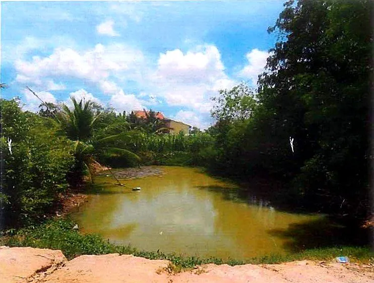 Bank Auction: Residential Plot, 462 m² in Chambork, Takeo, photo 3