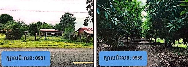 Land (Multiple Plots) in Srok Banan, Battambang, photo 3