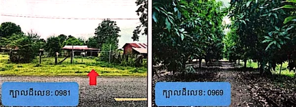 Land (Multiple Plots) in Srok Banan, Battambang, photo 4
