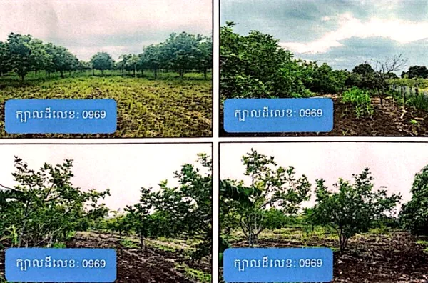 Land (Multiple Plots) in Srok Banan, Battambang, photo 5