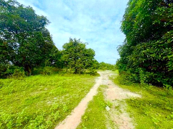 Land & House in Srok Rolea B'ier, Kampong Chhnang, photo 5