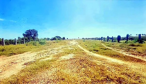 Vacant Land in Muk Kampul, Kandal, photo 2